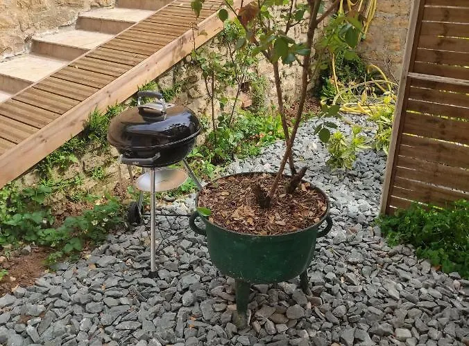 Le Tilleul * Sarlat-la-Canéda