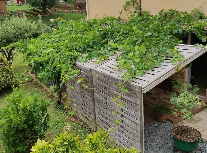 Le Tilleul * Sarlat-la-Canéda