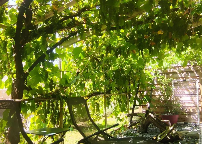 Lejlighed Le Tilleul *